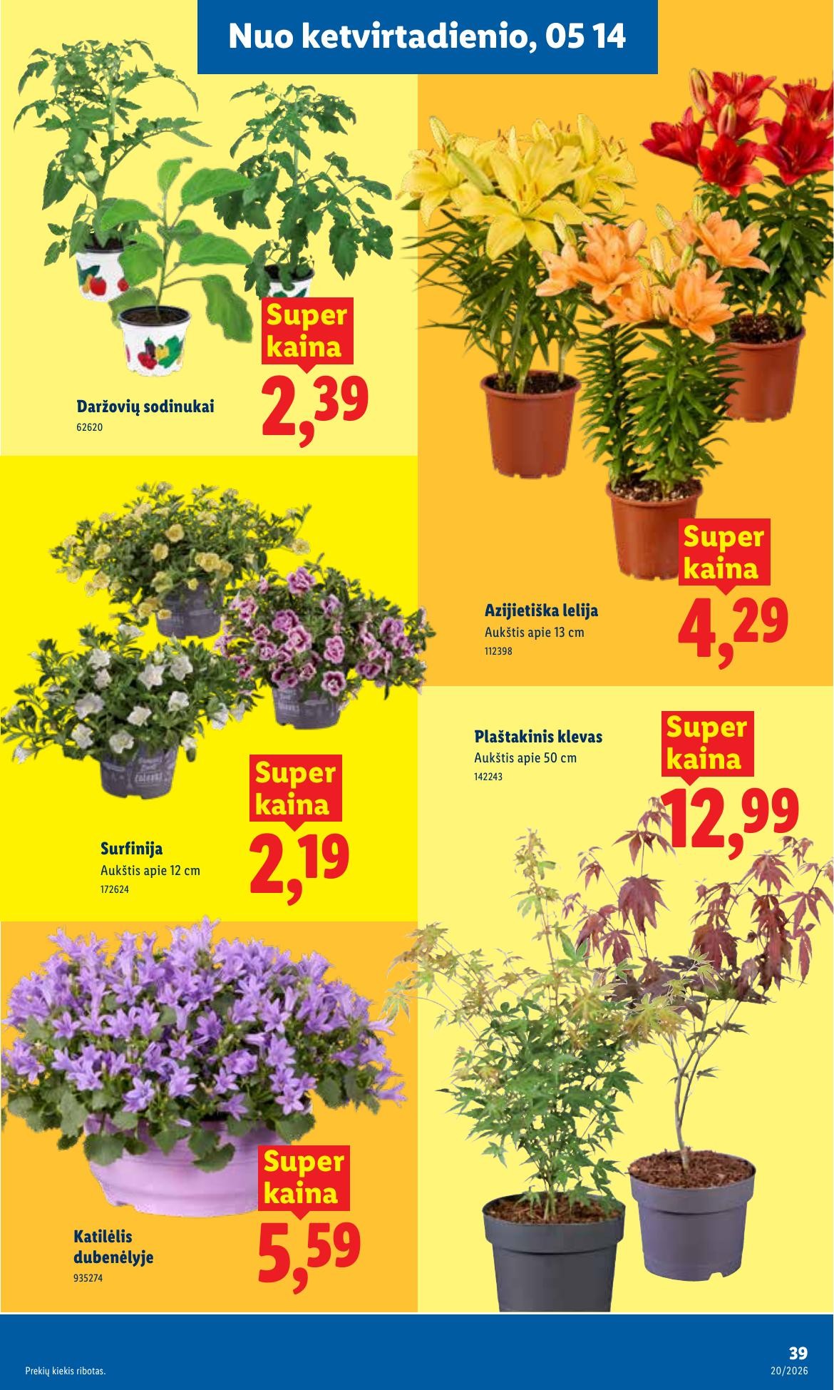lidl akcijos nuo ketvirtadienio - page 25